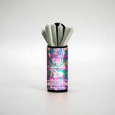Cru Infused Pre-roll | 6pk .5g | Purple Martian