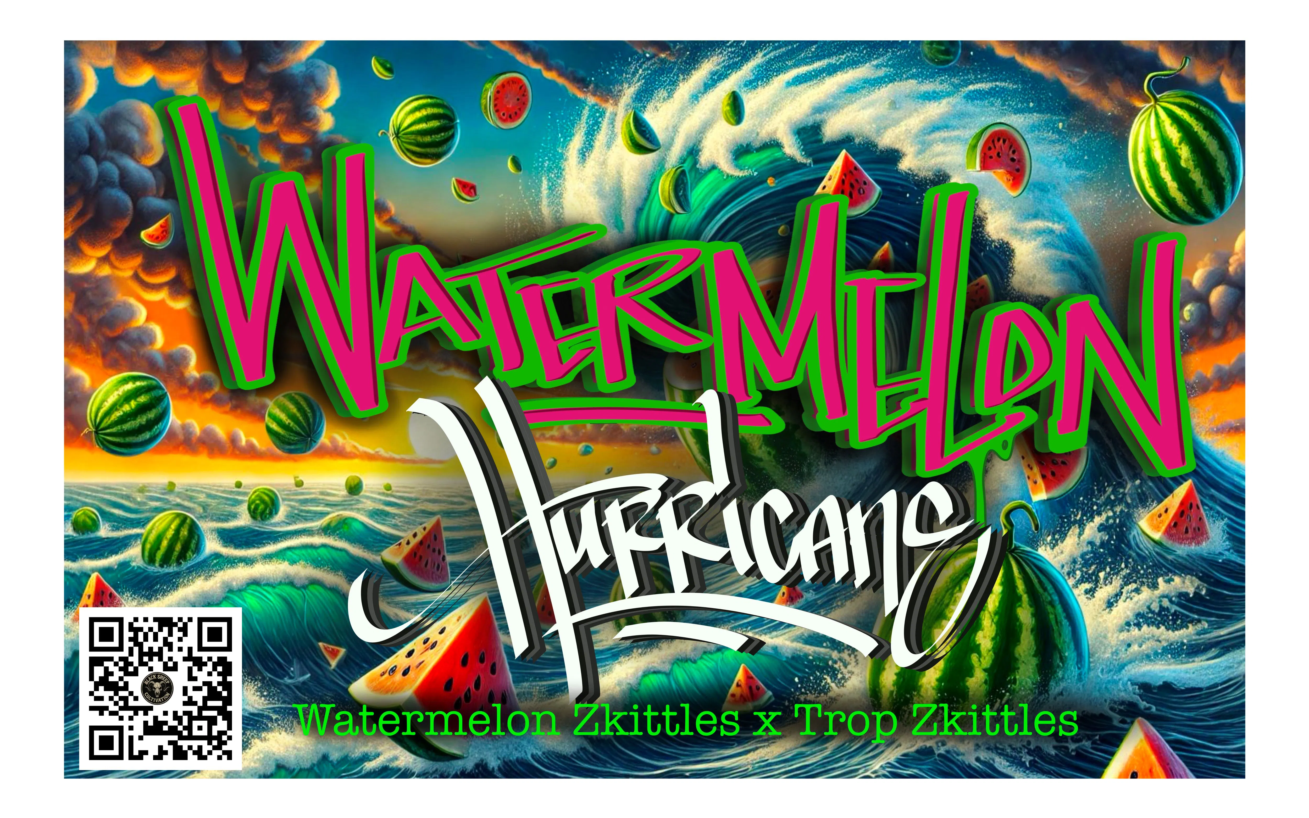 Black Sheep Cultivation | Watermelon Hurricane | Hippy Trip
