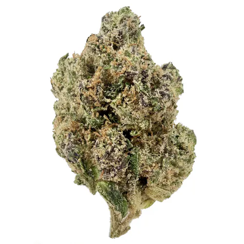 Roseville Air Heads Rec-active