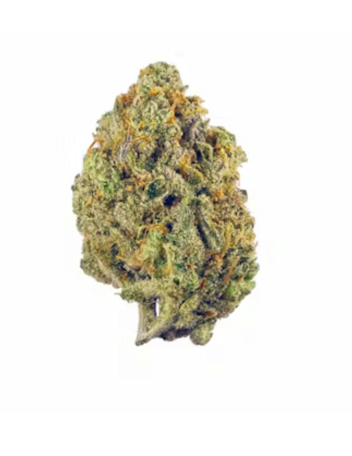Image of Sweet Jane | 1g House Flower “Small Buds”