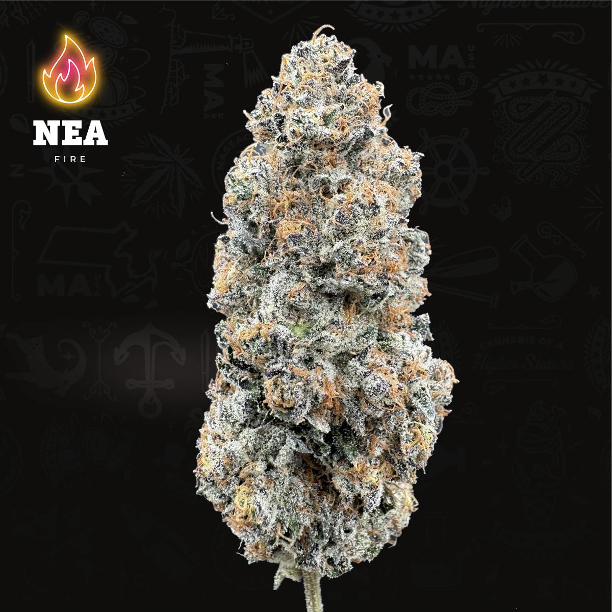 Product Sherbert Honey - Flower