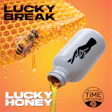 Fast Acting Solid Beverage Honey