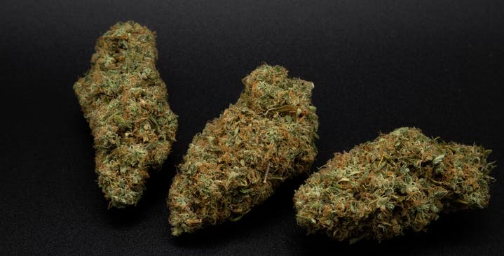 Product: Legend Moonarc | Elysium Cultivation