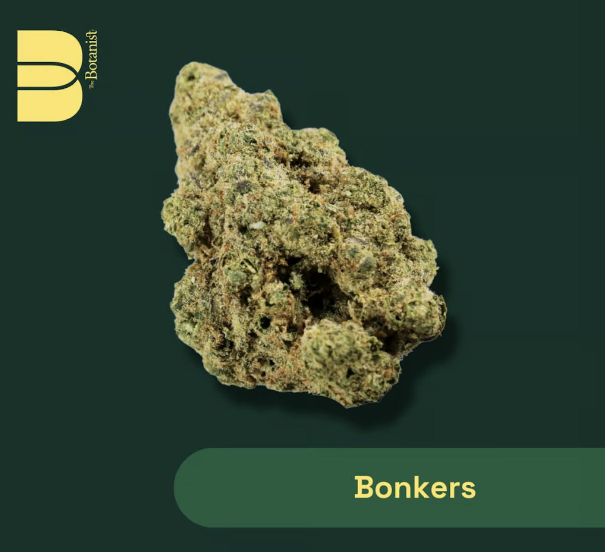 Photo of Bonkers Whole Flower I