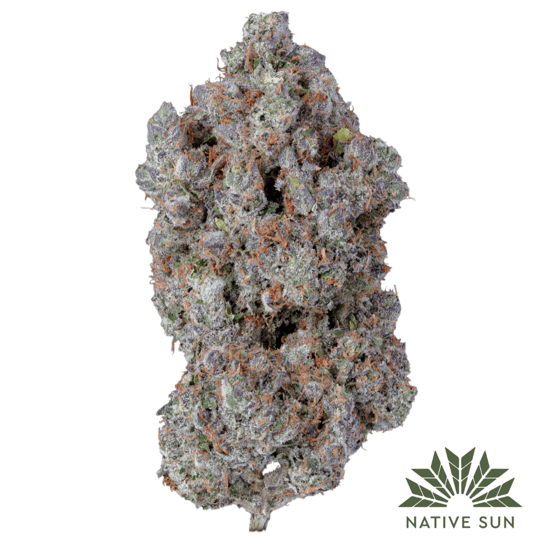 NATS 　SUNSEA Native Sun Next Level | Flower | 3.5g - Native Sun Cannabis