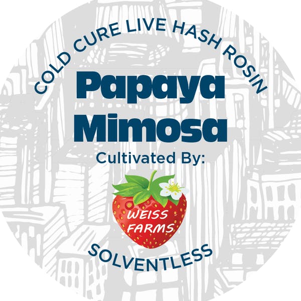 Papaya Mimosa | Live Rosin Concentrate (1g)