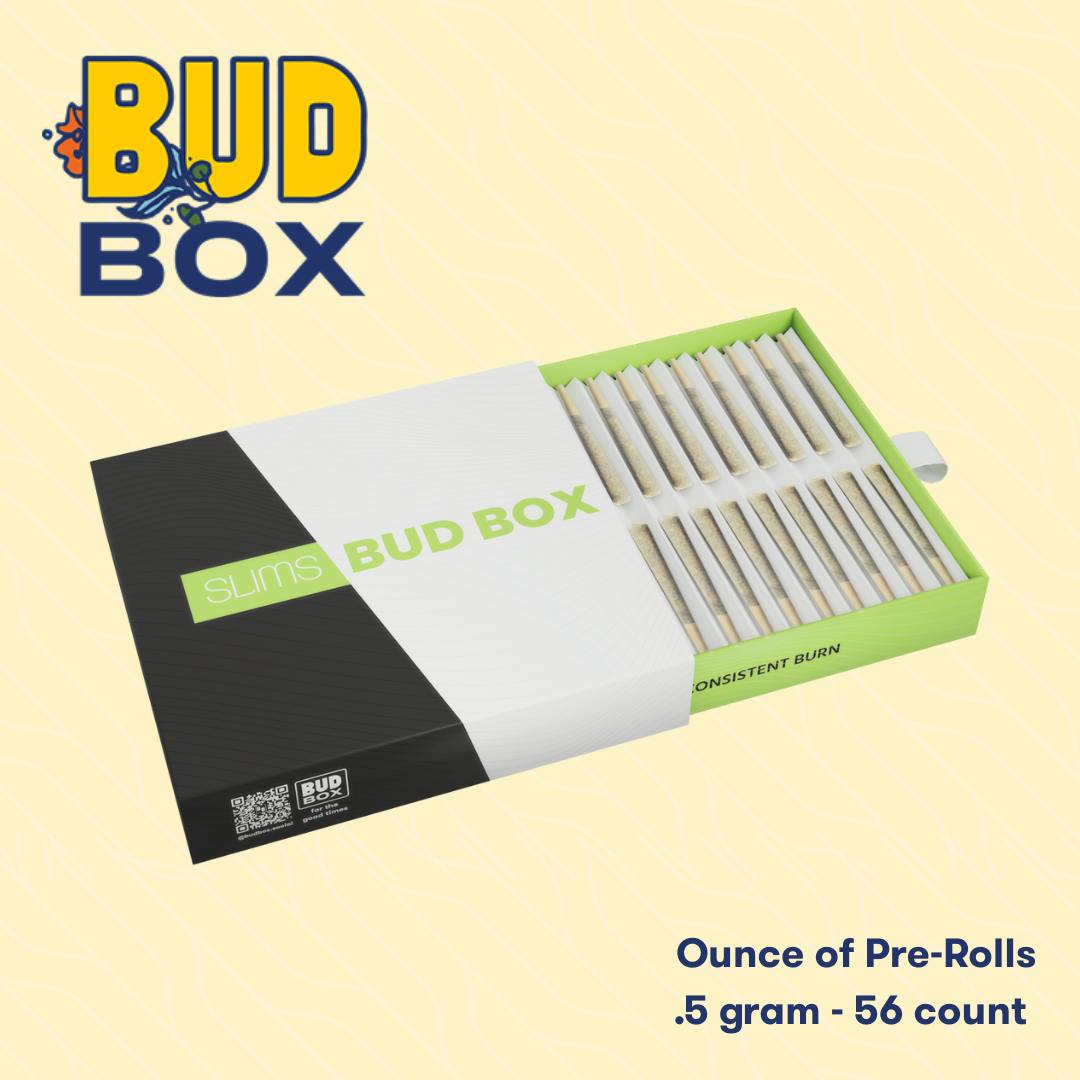 cigarette filters uk price paff right 540+60 Cigarette Filters Tips for Slim, Extra Slim and Roll Up,  Smart Tar Filters for Cigarettes, 540 Plastic + 60 Adapters 5.25-6 mm  Mouthpiece for Smoking : Amazon.co.uk: Health & Personal Care