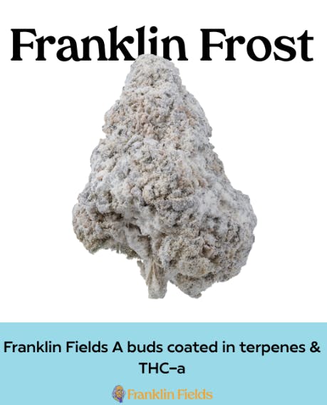 Peach Mango | THCA Infused | Franklin Fields