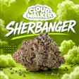 Cloud Walker Sherbanger