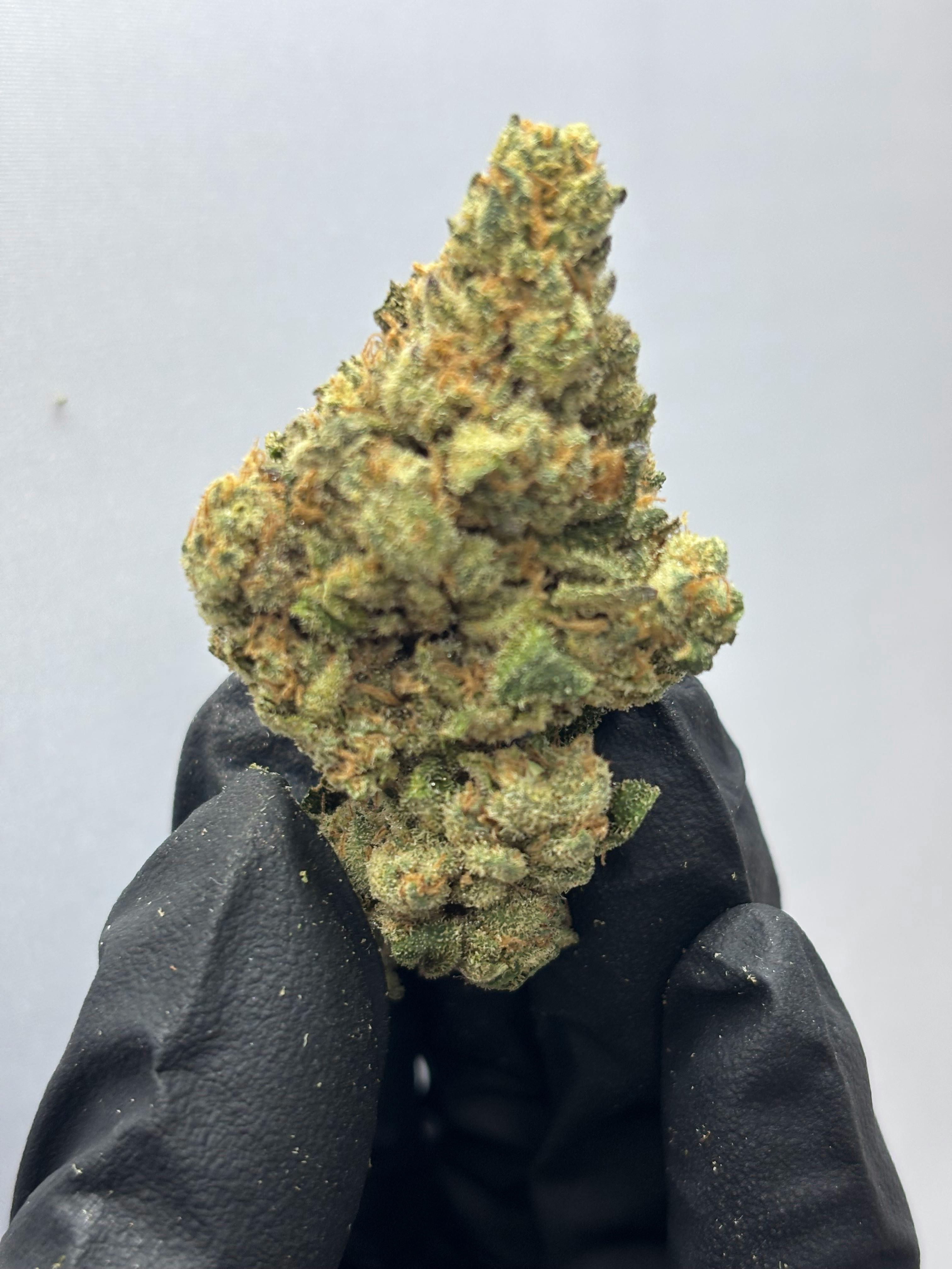 710 | Rick Jamez #3 | Flower | Bulk | NOBO Denver