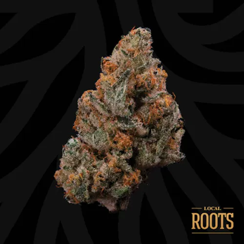 Pura Vida (SH) – 3.5g Flower – Local Roots-active