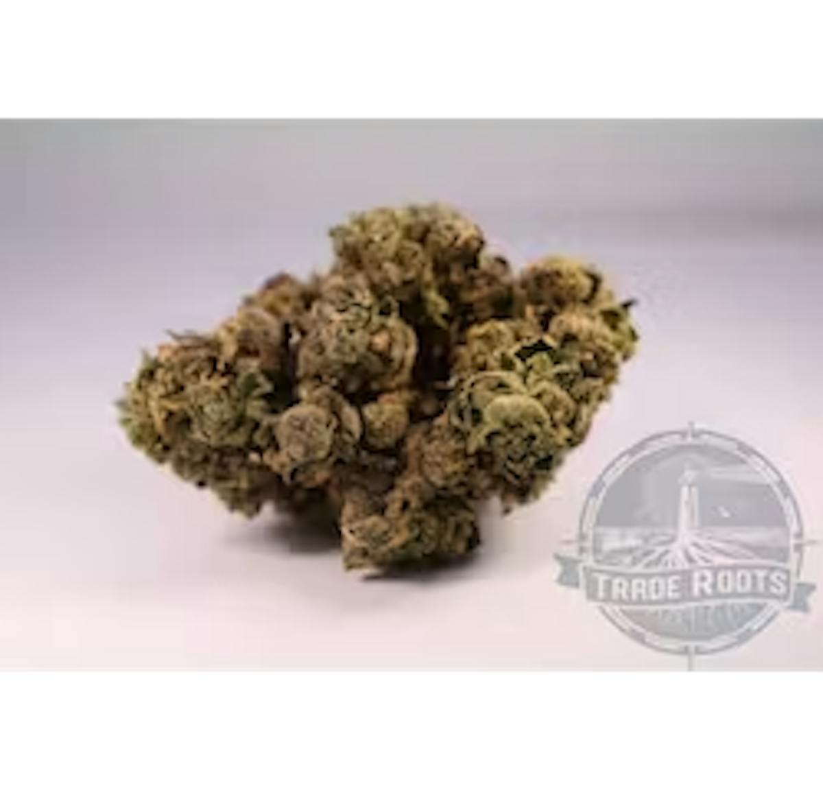 Image of Gastro Pop | 7g