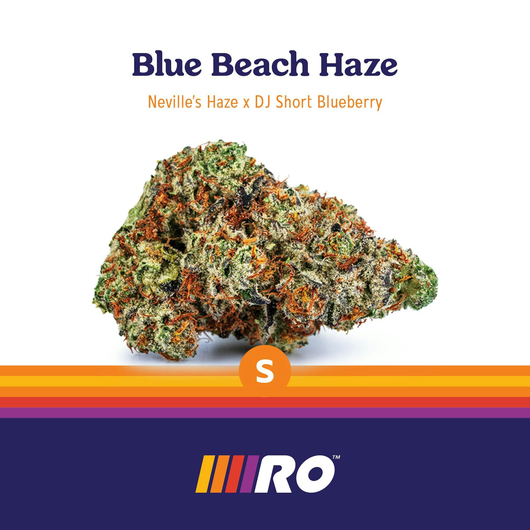Blue Beach Haze Flower