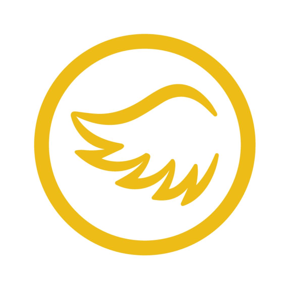 Tincture - Angel - 1:1 THC/CBD