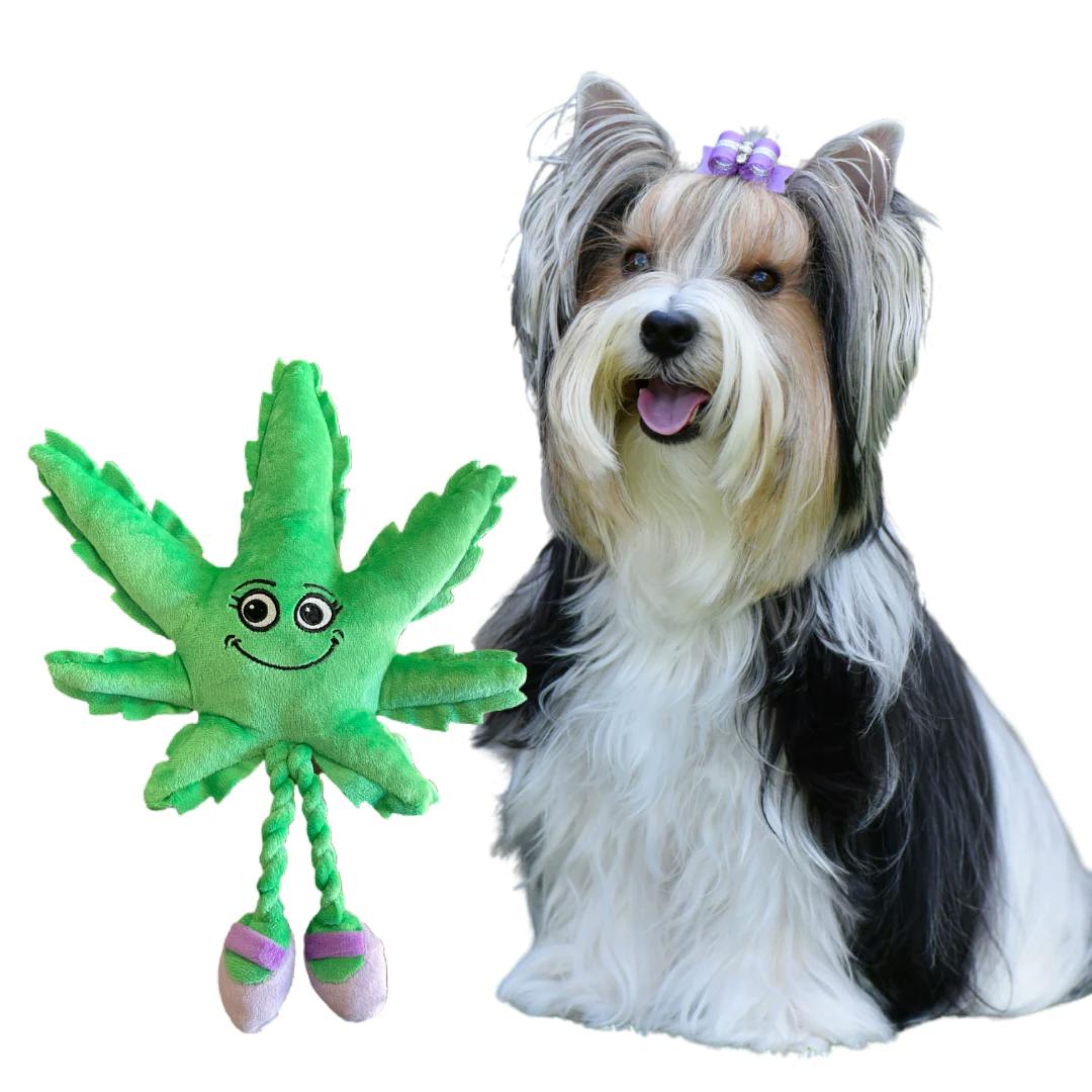 PAW:20 | Dog Toy | Mary Jane the Marijuana Leaf