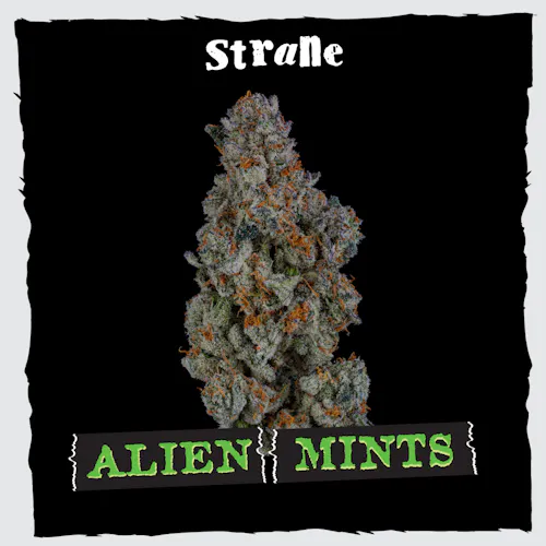 Alien Mints 3.5g – Strane (Pre-Pack)-1