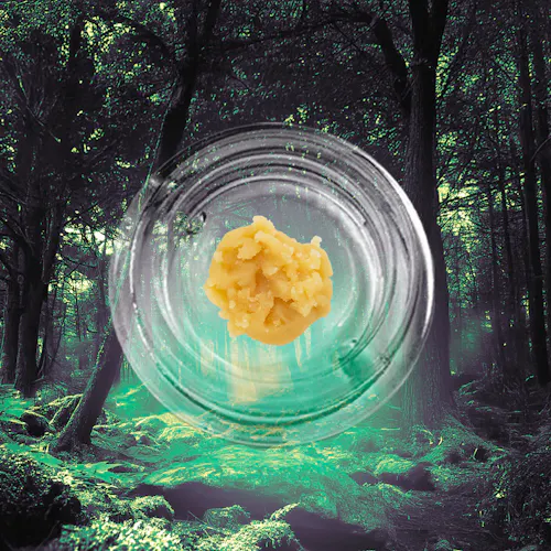 Animal Scout  | 1g Solventless Live Rosin (Tier 3)-1