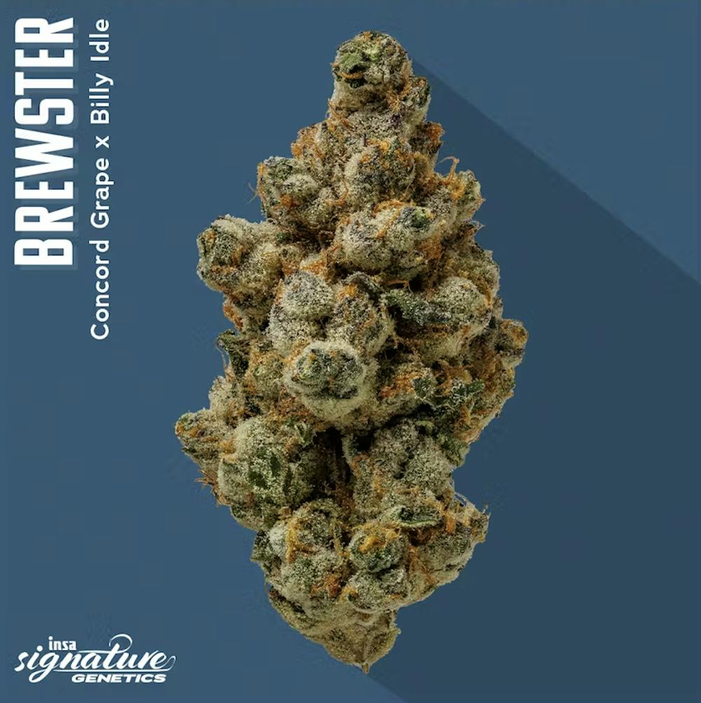 Product Brewster - Flower