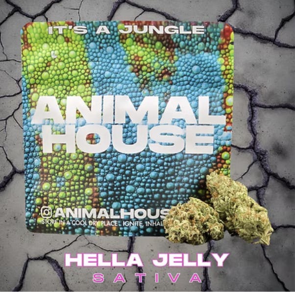 Animal House | Hella Jelly Flower