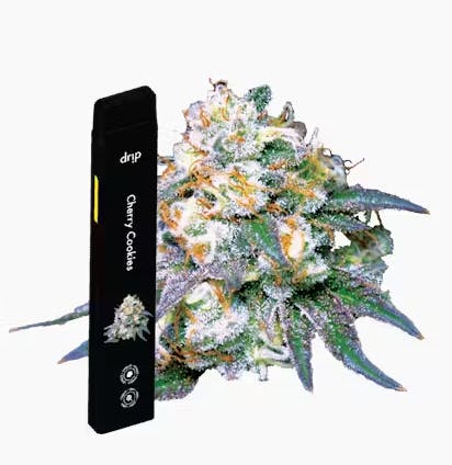 Product: Cherry Cookies | Disposable | Drip