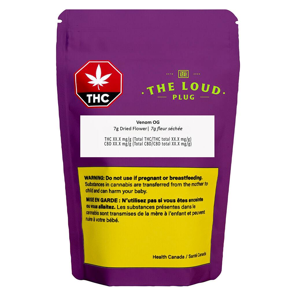 THE LOUD PLUG - Exotic Gas