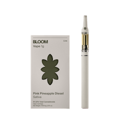 Bloom Live Cart | Durban Gelato