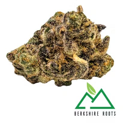 Product Tropicanna Banana | Flower | 14g