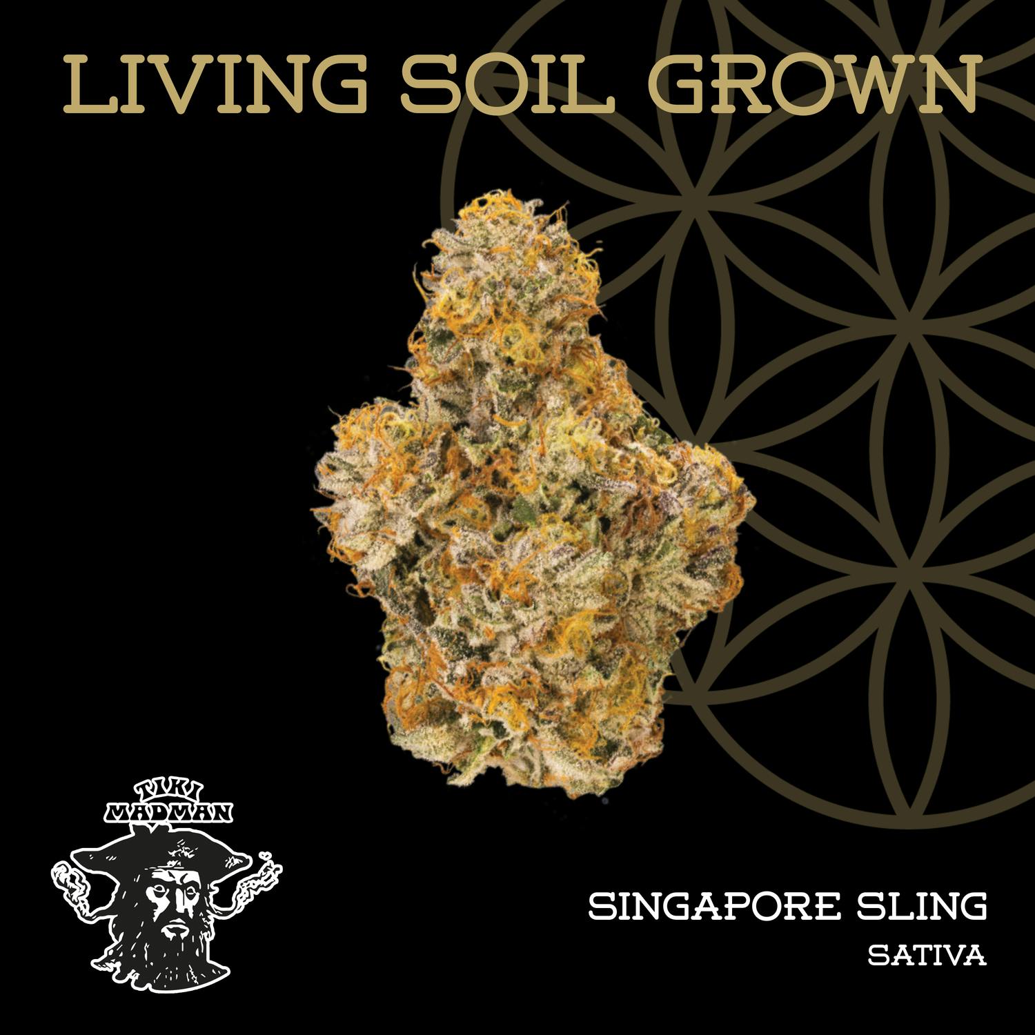 Product: Flower of Life | Bulk Bud - Singapore Sling