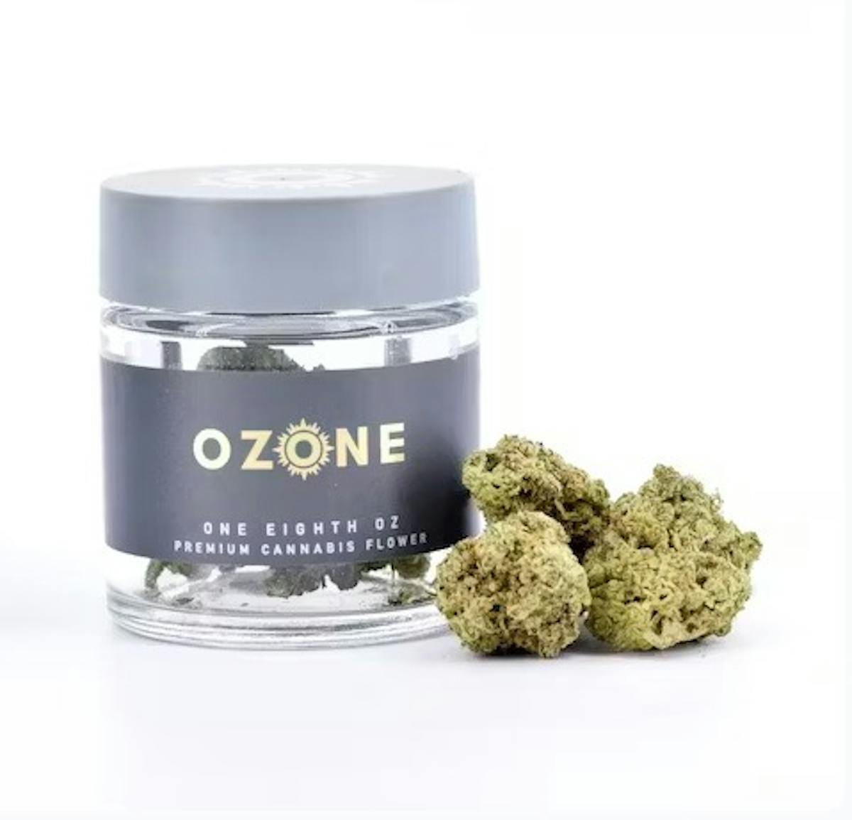 Photo of Ozone Robusta