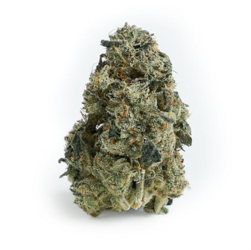 BHL ENTERPRISES BHL ENTERPRISES | MAFIA FUNERAL | BULK | HYBRID — FLOWER