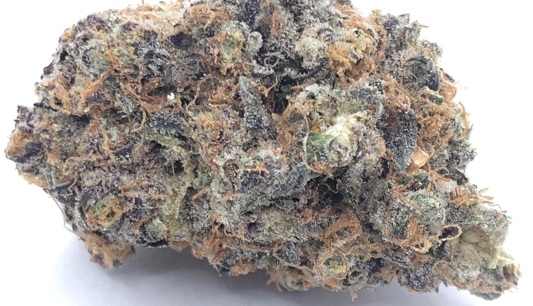 Wolverine-Buckeye WOLVERINE BUCKEYE ENTERPRISES | ANIMAL TSUNAMI | BULK | INDICA/HYBRID — FLOWER