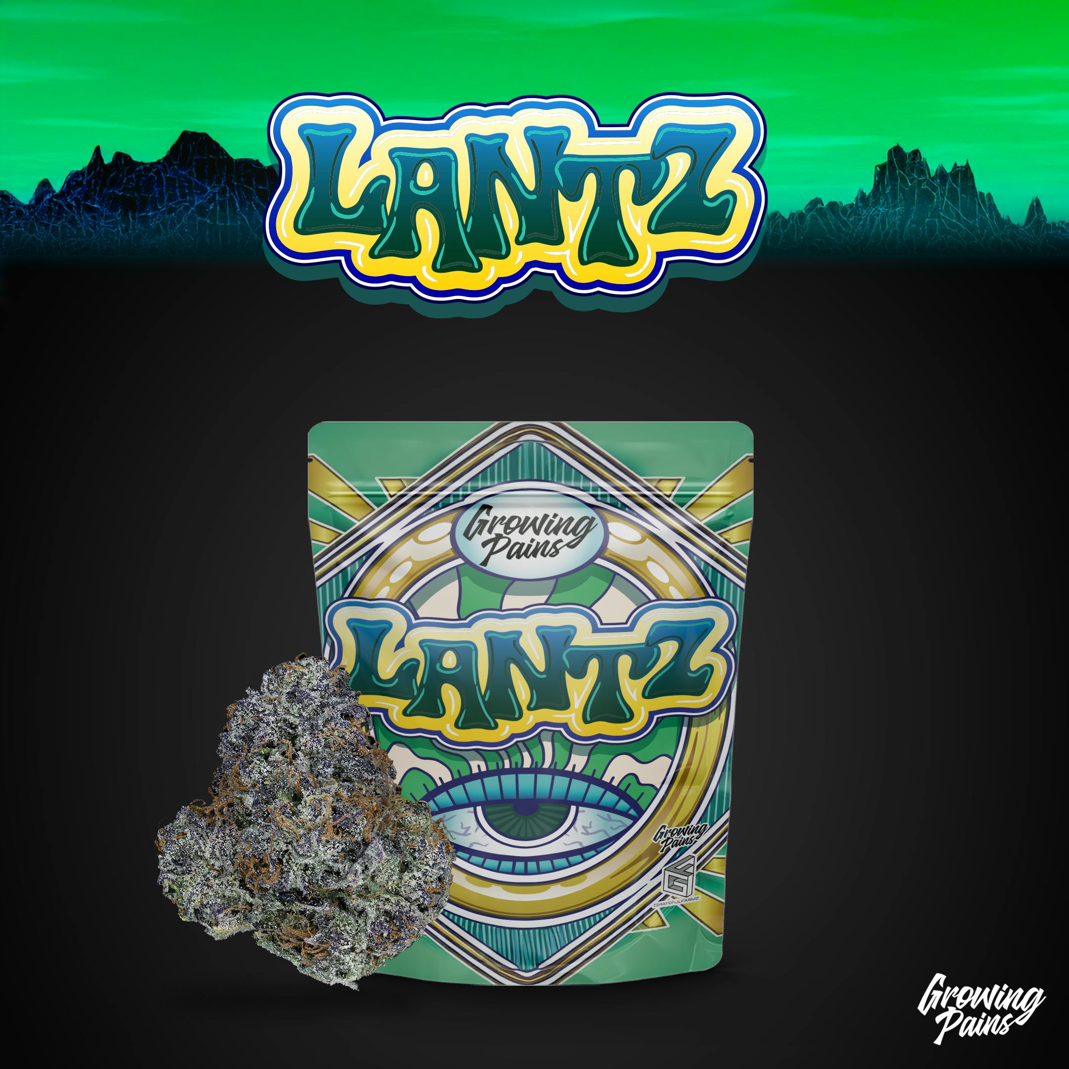 Growing Pains - 3.5g Prepack - Lantz
