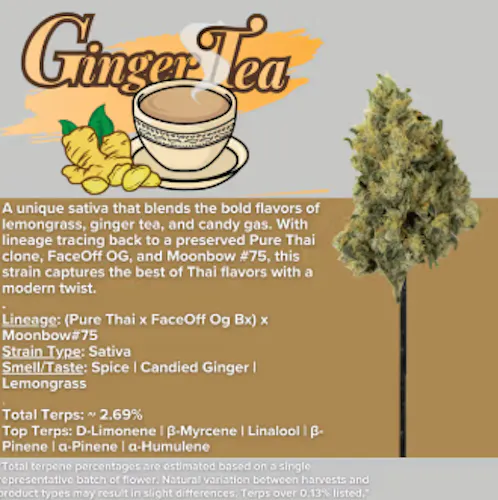 Ginger Tea (H) – (28g) – Sanctuary-active