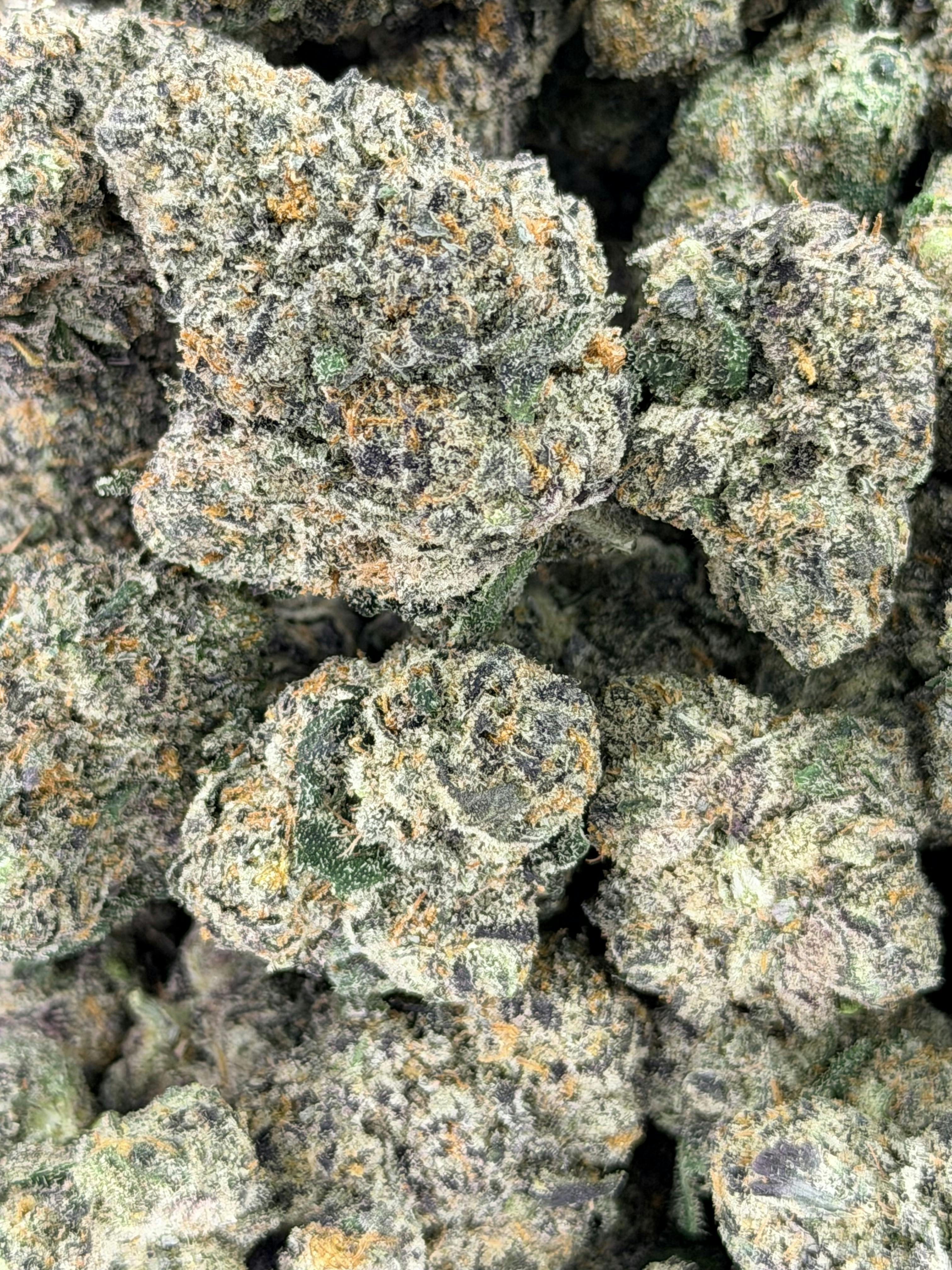 Candy Cake | Deli Flower (Gold)