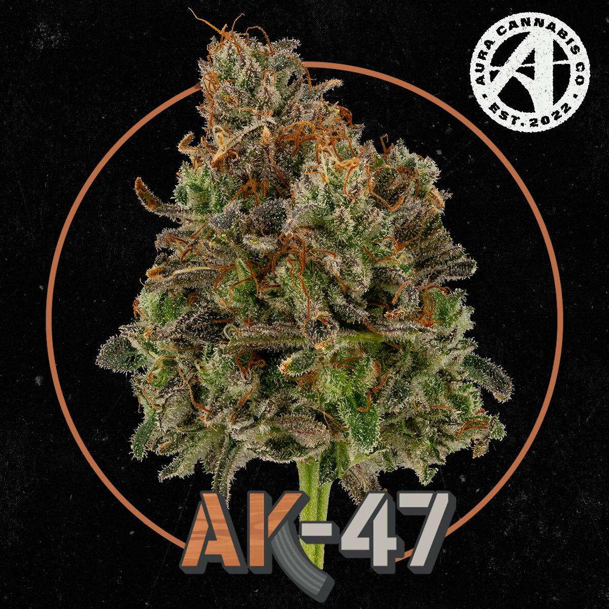 Product Aura | AK-47 | Flower