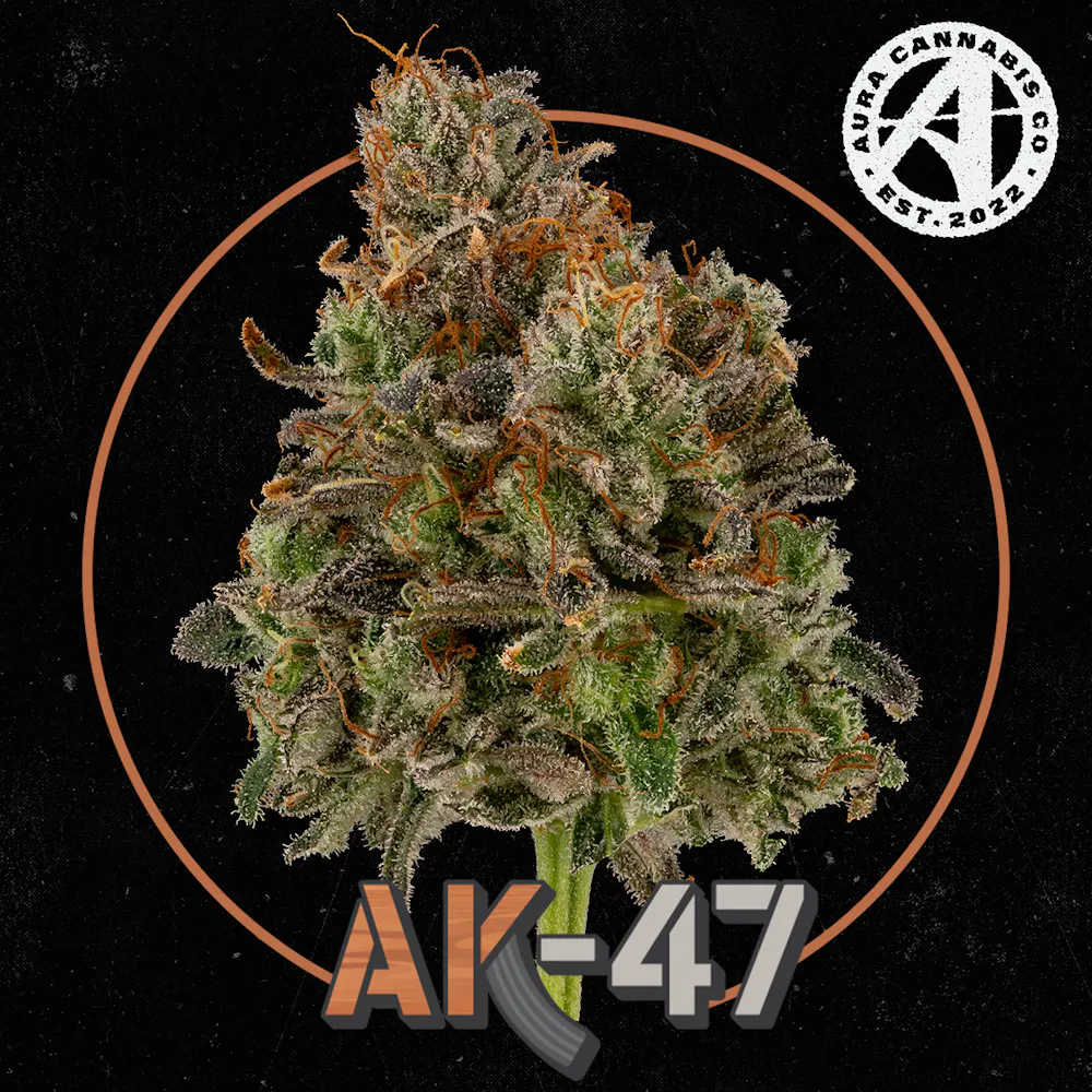 Product Aura | AK-47 | Flower