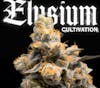 25% OFF | Elysium Deli Flower