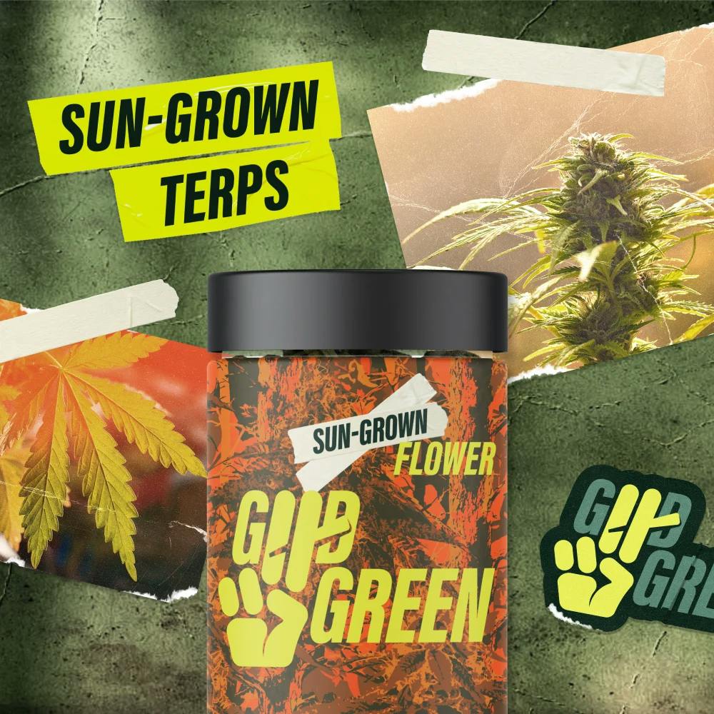 Image of product