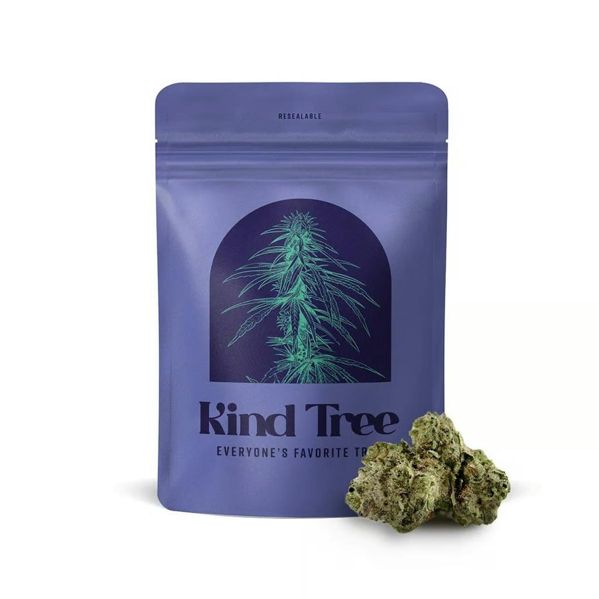 Photo of Kind Tree l Mango Mindset Littles l 7g