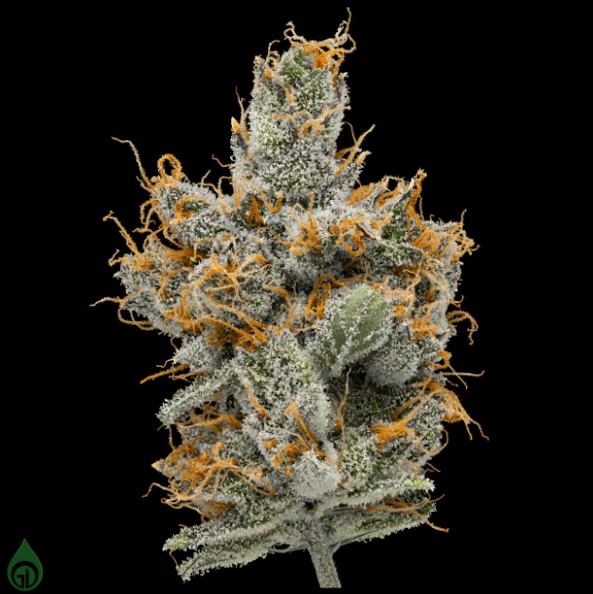 Photo of Green Dot – Pre-Packed – Lemon Butter Rum – (S)
