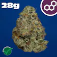 Plasma Gas Pre-Packed