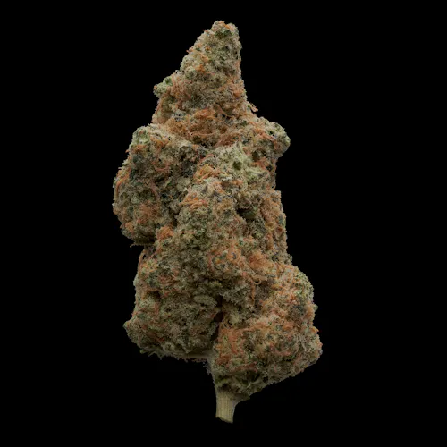 Sensei | Jar | Candy Cane | 3.5g-active