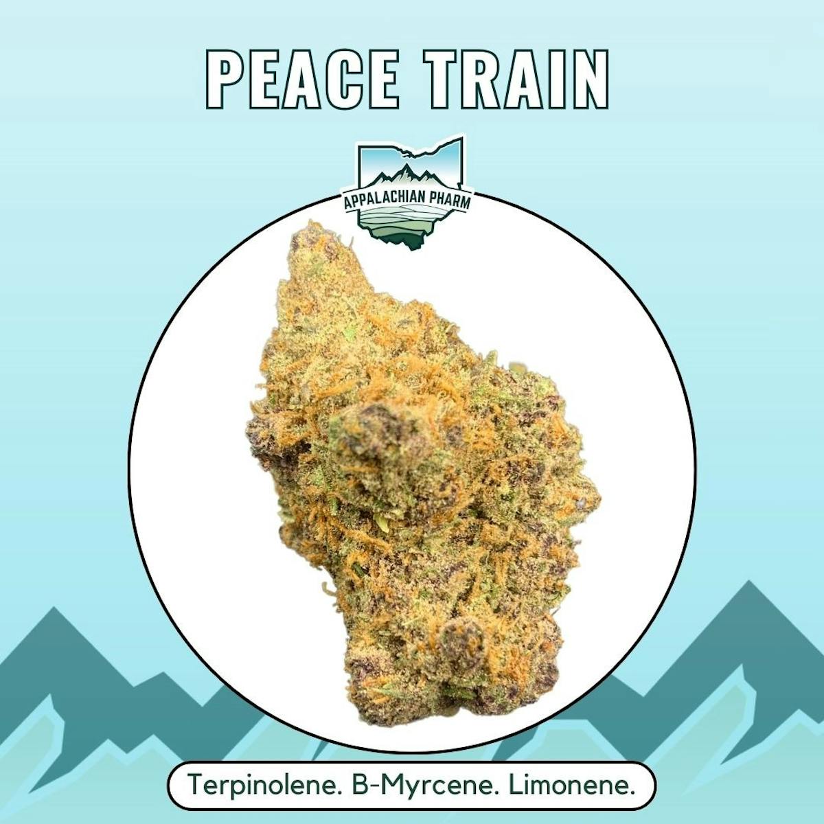Photo of Peace Train