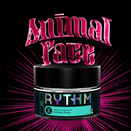 Rythm Animal Face 7g Mini Buds-1