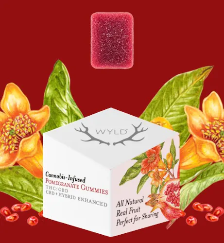 Natural Hybrid | Pomegranate | Gummies | 1:1 CBD | 10pk | 100mg-1