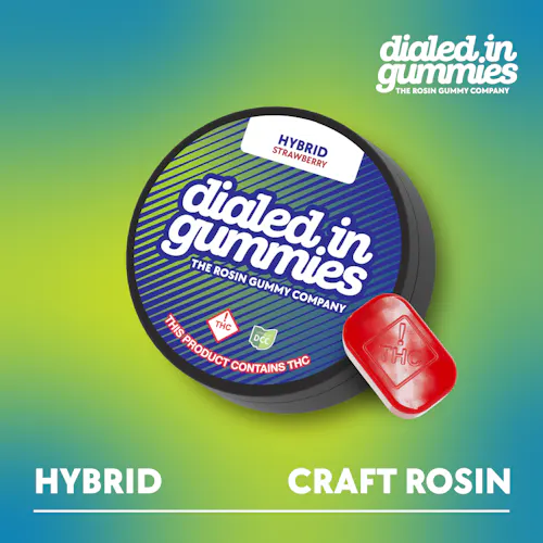 Dialed In Gummies | Strawberry (Solventless) Rosin Gummies | 10pack | 100mg | Hybrid-active