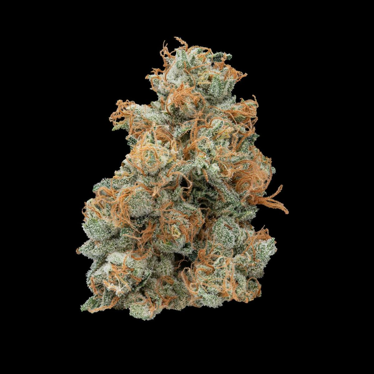 image of Ghost OG Small Buds