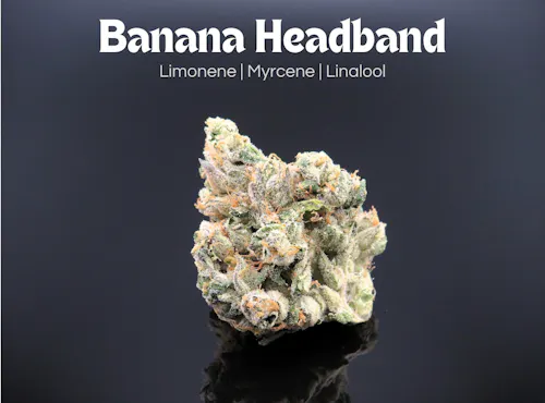 Farkas Farms: Banana Headband – 14.15g-active