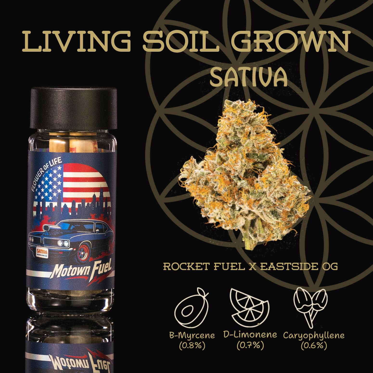 Flower of Life | Pre-Roll 5-Pack - 2.5g - Motown Fuel