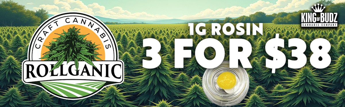 Rollganic 1g Rosin - 3/$38
